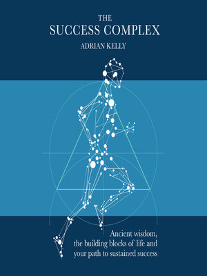 cover image of The Success Complex